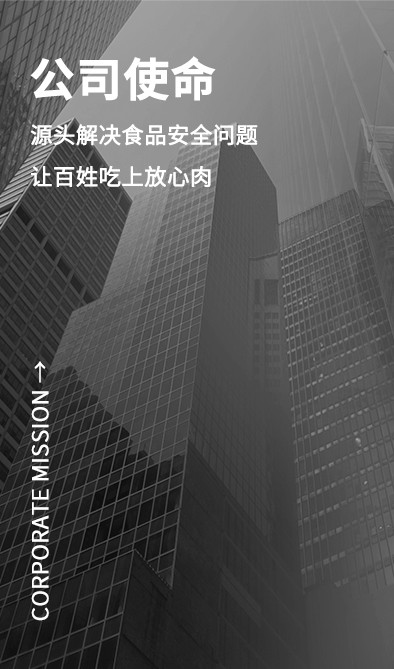 公司使命