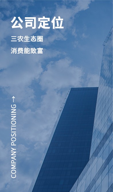 公司定位