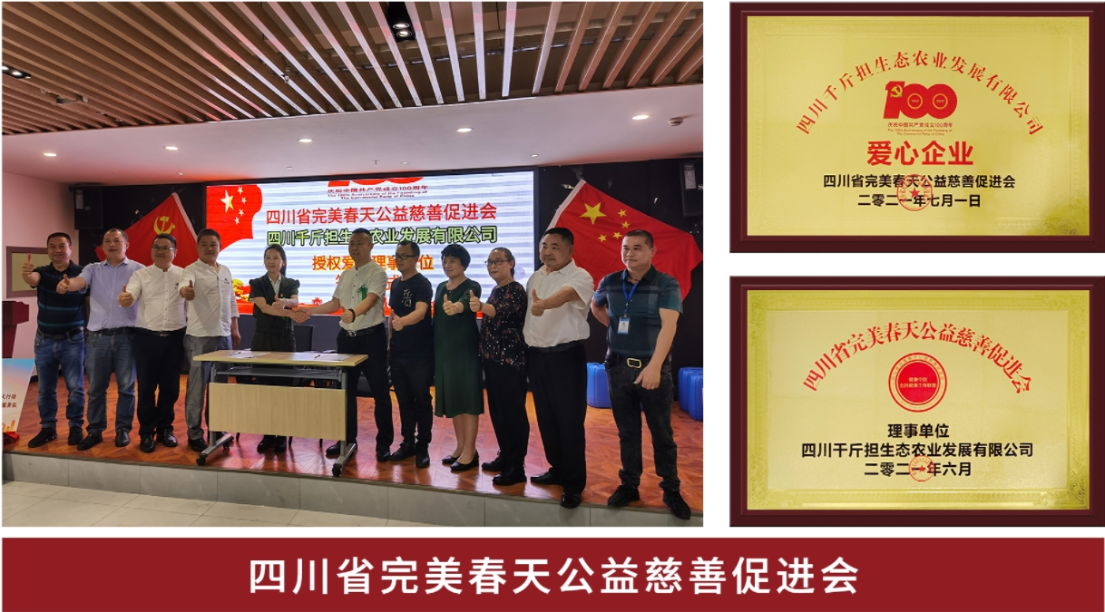公益帮扶 信用背书