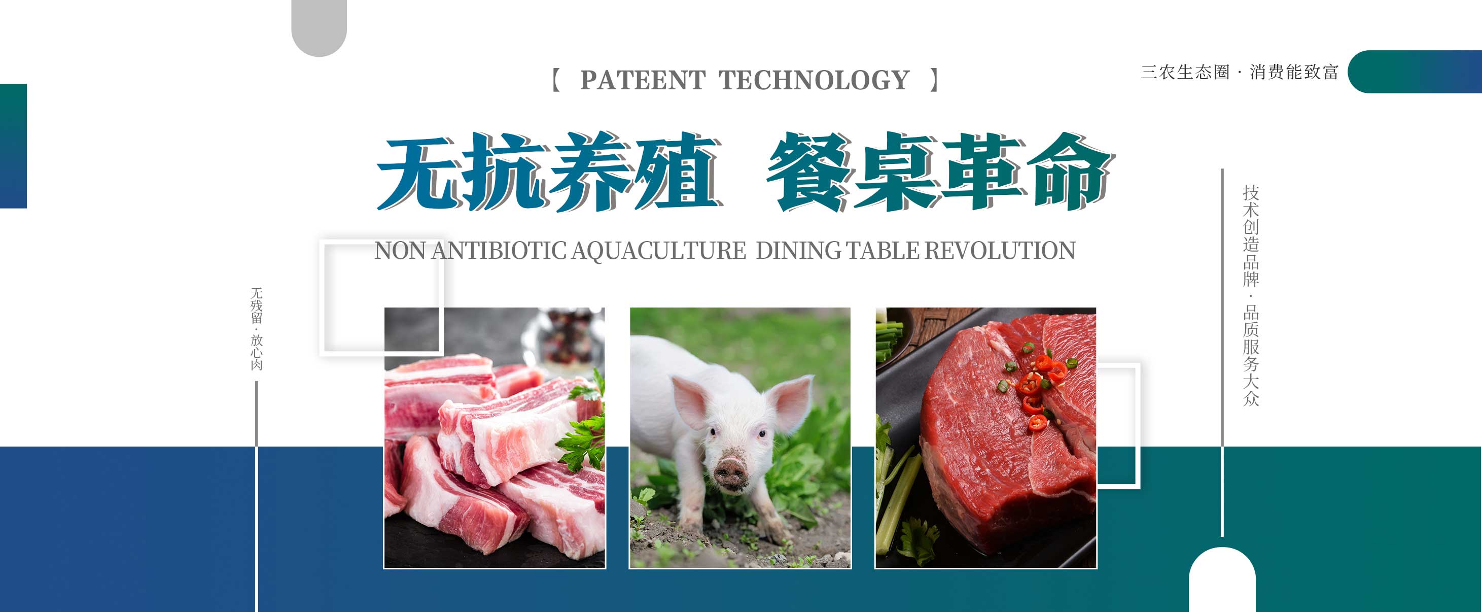 banner-slider