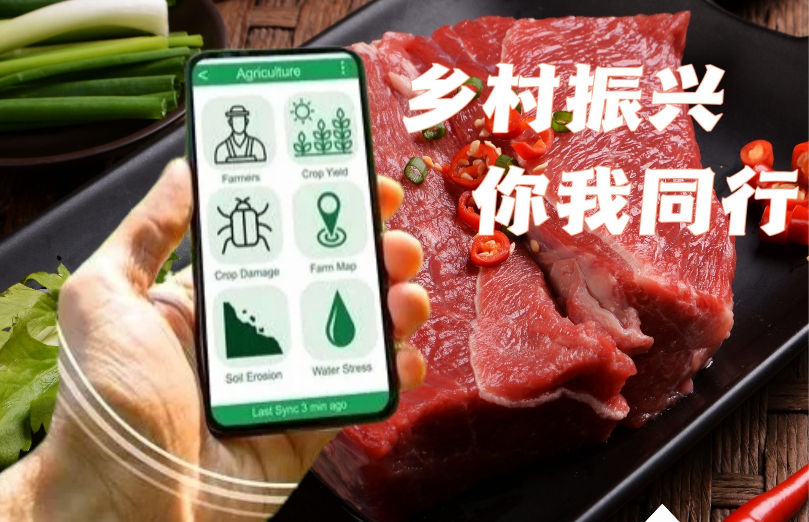 微信图片_20250509163450.jpg